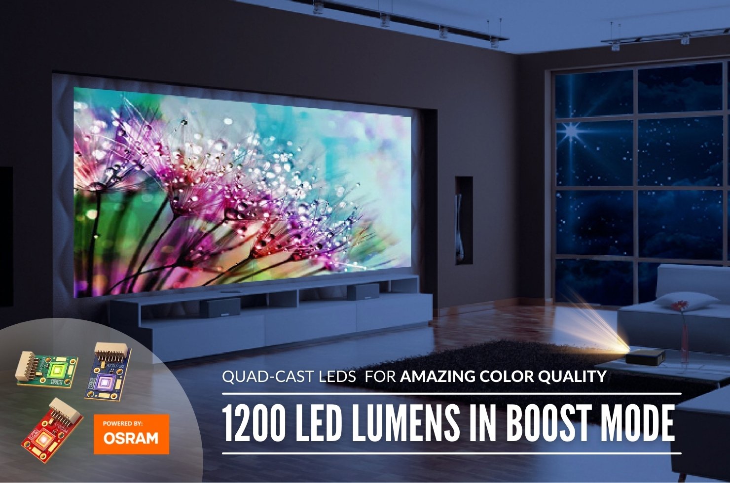 1200 LED Lumens in boost mode - M7 projecting flowers on the wall of a living room.